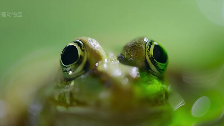 “The harder it is to get, the more I want it.”