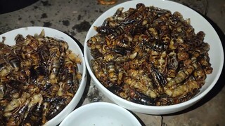 145. Giao Lưu Ẩm Thực Vùng Cao Cùng Gia Đình Bạn Zơ.