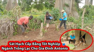 Tập 189: Giúp Gia Đình Antonio Trồng lạc vụ 2 ở Châu Phi||2Q Vlogs Cuộc Sống Châu Phi
