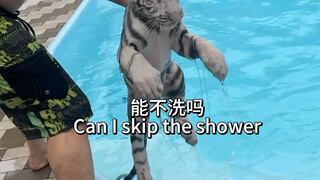 Little Millionaire's Swimming Adventures-Mom, am I your biological child?