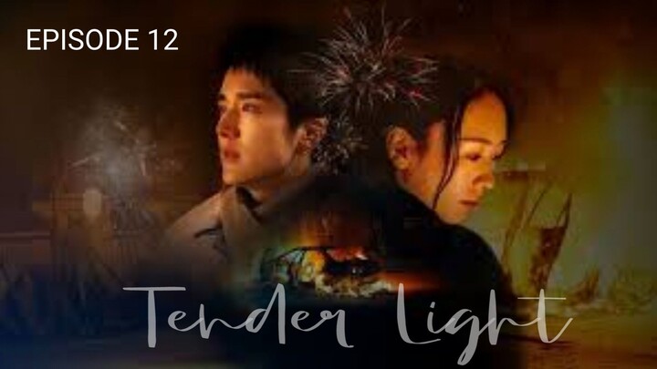 🇨🇳 | EP 12 Tender Light (2024) English Sub