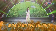 Ca nhạc : Mùa vàng yêu thương (THVL4 - 16/05/2025)