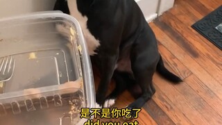 点进来看小狗挨骂😈
