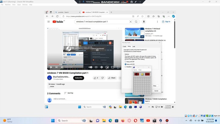 windows 11 has bsod VM