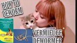 HOW TO USE VERMIFUGE DEWORMER