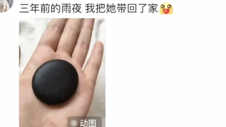 石头不会掉毛，不会拉屎，不会闯祸，只会默默的听你说话，性价比极高