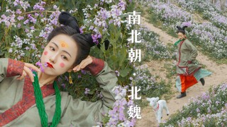 【历史的切片】南北朝·北魏｜心随天地走，意被牛羊牵