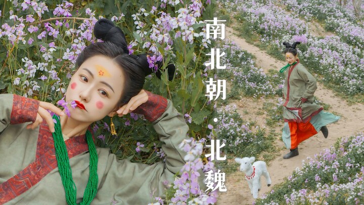 【历史的切片】南北朝·北魏｜心随天地走，意被牛羊牵