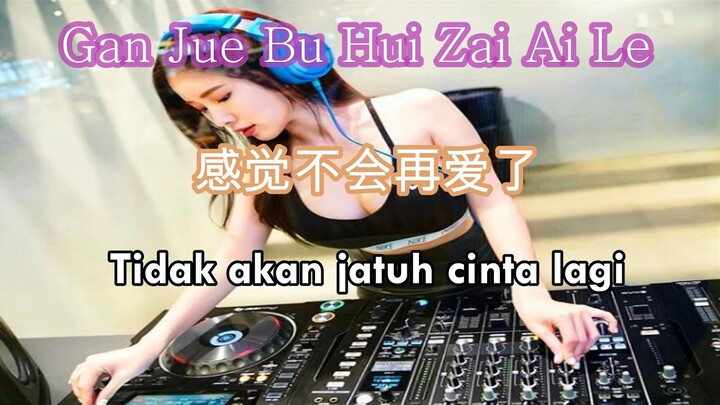 Gan Jue Bu Hui Zai Ai Le 感觉不会再爱了 Remix By Dj Brian Bie