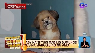 Aso, ginising ang kanyang natutulog na fur mom | Dapat Alam Mo!