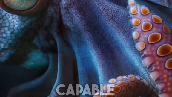 5 weird facts about sea animals