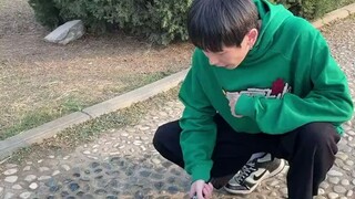 大学牲的十万个为什么？