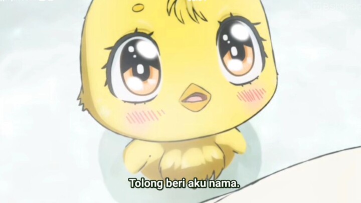 pemberian nama