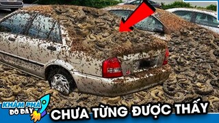 5 Khoảnh Khắc Kỳ Lạ Mà Có Thể Chưa Từng Được Chứng Kiến| KHÁM PHÁ ĐÓ ĐÂY