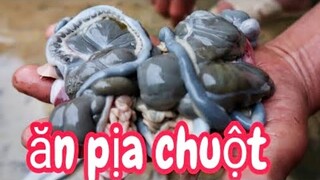 Pịa Chuột Món Ăn Siêu Kinh Dị | Đời Sống Tây Bắc