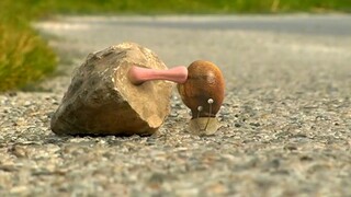 人类随意丢弃的口香糖给小动物们带来了不小的困扰。