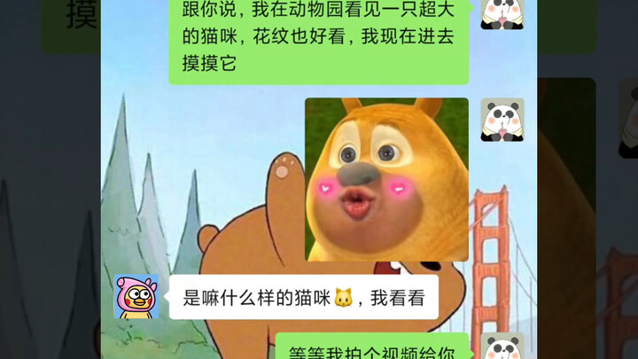 Hôm nay đi vuốt mèo, lần đầu tiên thấy con mèo có bộ lông hoa văn kiểu này