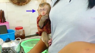 beautiful Tiny Baby Maki  Sleeping Well On Hand Mom When Mom Cooking Food Lunch For Family