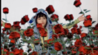 这么多玫瑰还收买不了你的心嘛
