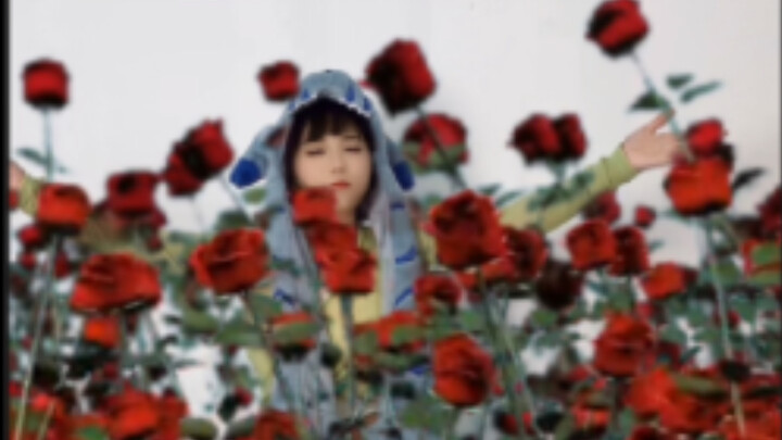 So many roses can't buy your heart?