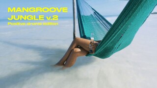 MANGROOVE JUNGLE MIX vol.2 - Positive drums edition