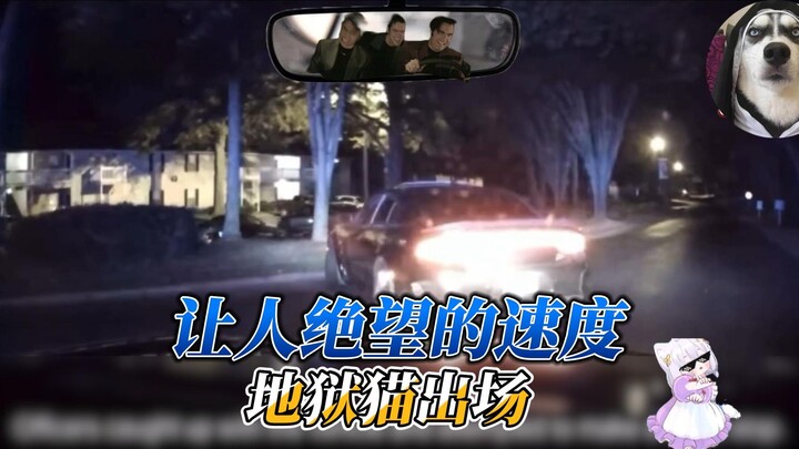 画质越模糊，实力越强悍，地狱猫申请出战
