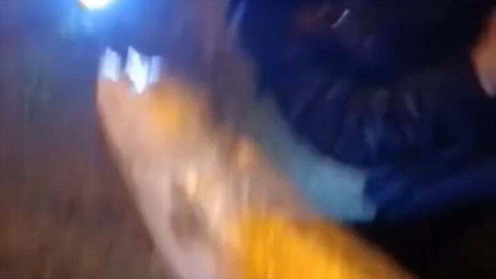 A man caught a 63-pound alligator and it took him an hour to bring it home!