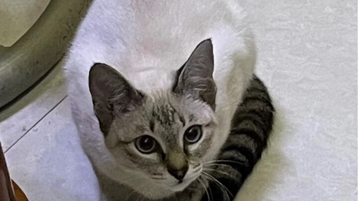 "لقد احتوت الصيف بأكمله في قضمة واحدة."