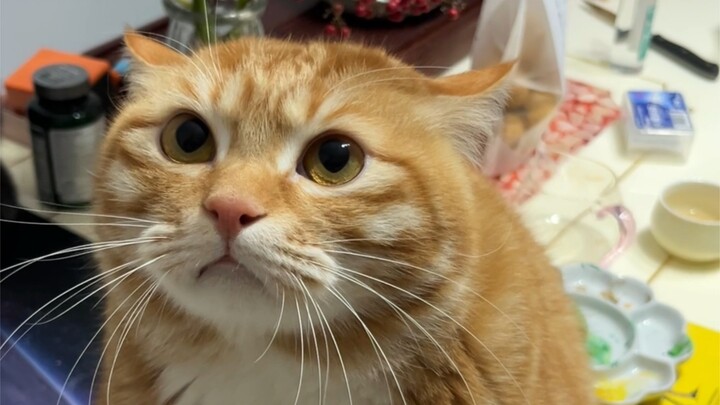 After getting beaten, even his gaze became clear!