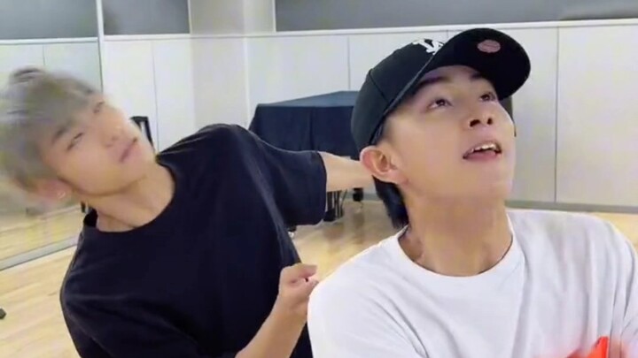 Kumpulan Happy Puppy 2.0 | haru & aloha dengan tukuya