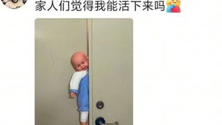 大学生带娃，哈哈哈哈哈哈哈哈笑出腹肌。。