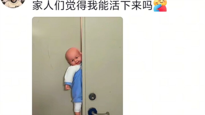 大学生带娃，哈哈哈哈哈哈哈哈笑出腹肌。。