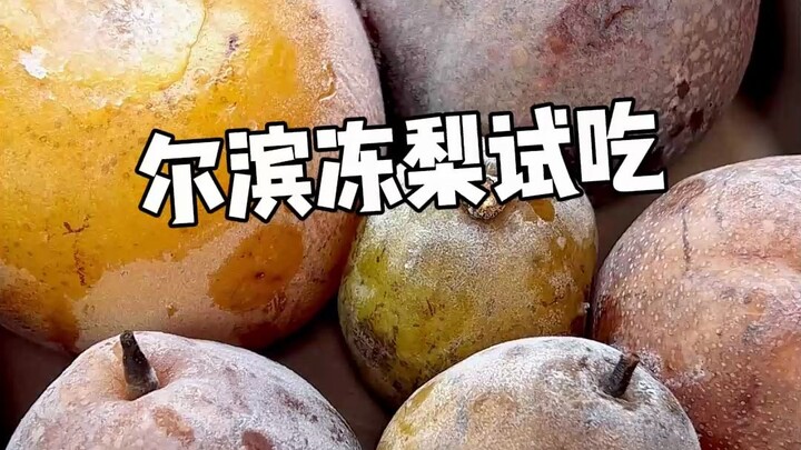 How delicious are Harbin’s Northeastern frozen pears, exactly? Lao Duzi froze six varieties and trie