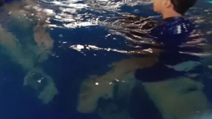 hi guys can you follow my video