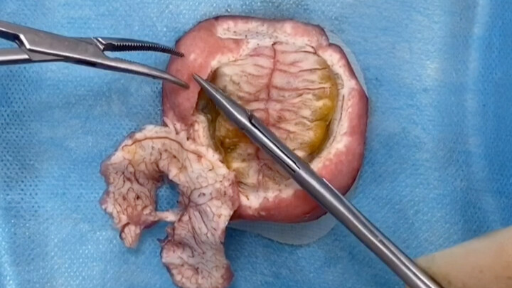 A Training Manual for Young Surgeons!
