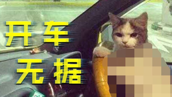 【主播真会玩八卦篇】105：严审之下的巨龙撞击，好快的车!!!
