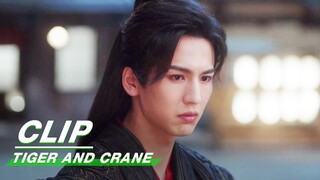 Yan and Qian are the Closest People to each other | Tiger and Crane EP33 | 虎鹤妖师录 | iQIYI
