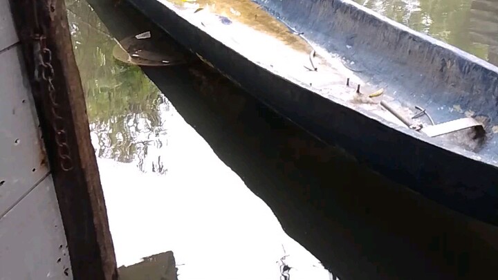 flooding all over in calumpit Bulacan Philippines