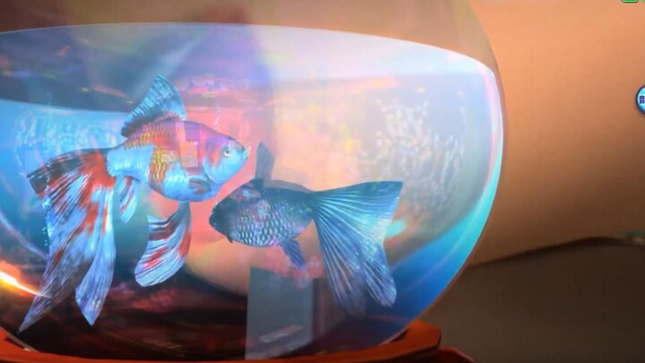 Mikudayo actually did this to a goldfish… [Project Sekai]