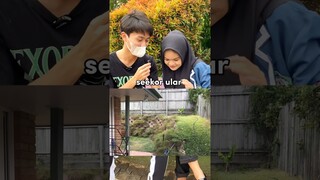 TEMUKAN SE EKOR ULAR DI FOTO INI DAPAT UANG TAPI SULIT UNTUK DI JAWAB ?? 😱 #viral #shorts