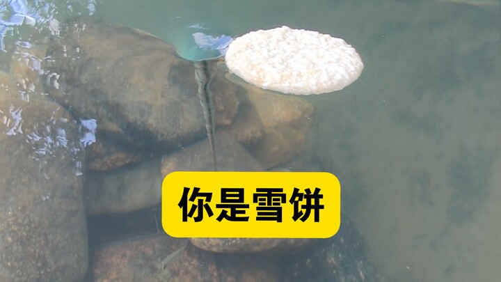 Giả sử bạn là một chiếc bánh quy tuyết
