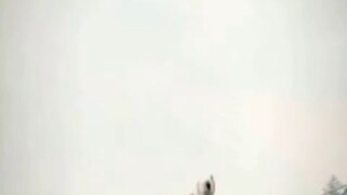 หลินอี้ท่านผู้เฒ่าจินตัน