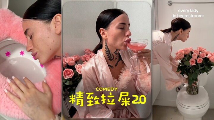 精致拉屎2.0