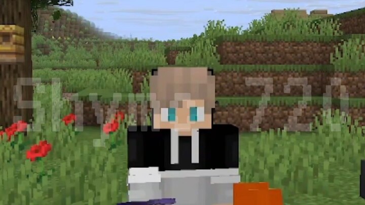 Minecraft Myth