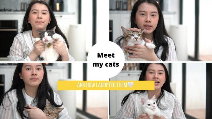 KENALIN KOCHENK2KUUU! (and how i adopted them)