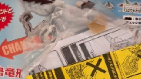 SF Express delivery guy: Are you trying to make fun of me?