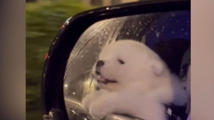 “Little things really can be this healing”