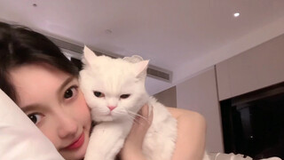 السعادة التي يفهمها فقط مربو القطط