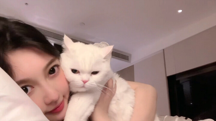 The joy only cat owners understand