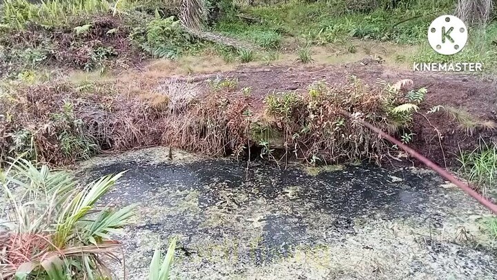 mancing keper malah dapat ikan bujuk